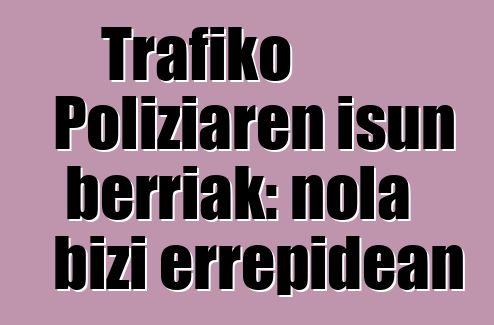 Trafiko Poliziaren isun berriak: nola bizi errepidean