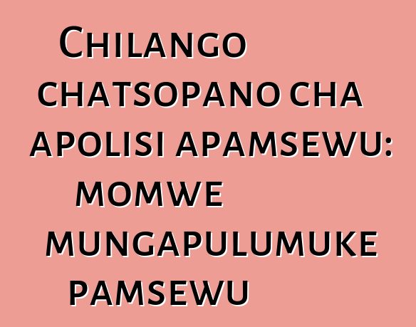 Chilango chatsopano cha apolisi apamsewu: momwe mungapulumuke pamsewu