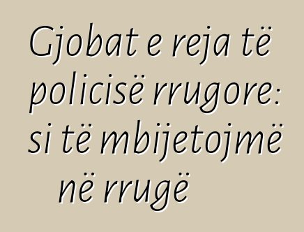 Gjobat e reja të policisë rrugore: si të mbijetojmë në rrugë