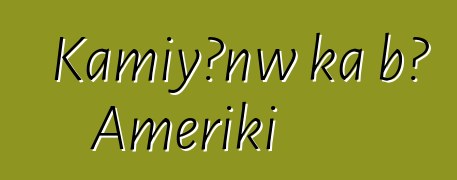 Kamiyɔnw ka bɔ Ameriki