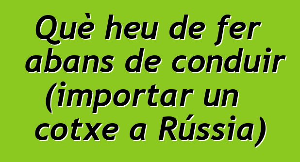 Què heu de fer abans de conduir (importar un cotxe a Rússia)