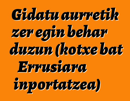 Gidatu aurretik zer egin behar duzun (kotxe bat Errusiara inportatzea)