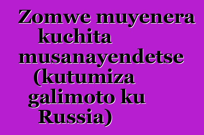 Zomwe muyenera kuchita musanayendetse (kutumiza galimoto ku Russia)
