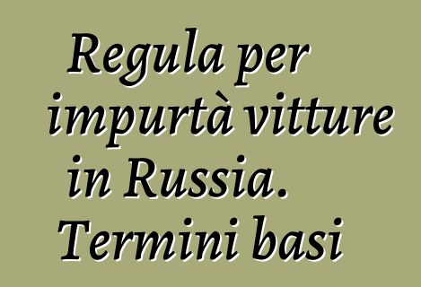 Regula per impurtà vitture in Russia. Termini basi
