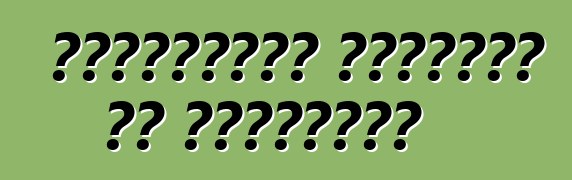 Մեքենաներ առաքե՞լ եք Ուկրաինա