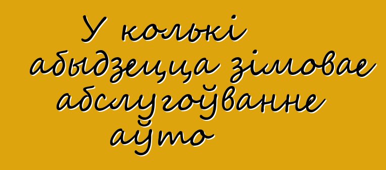 У колькі абыдзецца зімовае абслугоўванне аўто