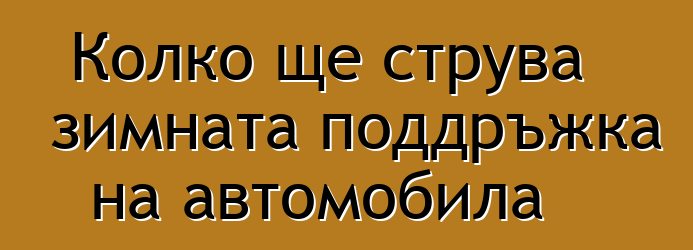 Колко ще струва зимната поддръжка на автомобила