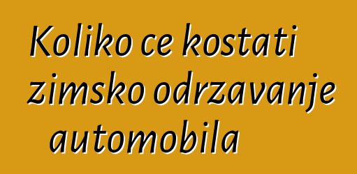 Koliko će koštati zimsko održavanje automobila