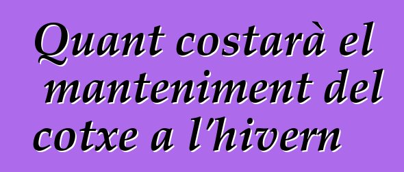 Quant costarà el manteniment del cotxe a l'hivern