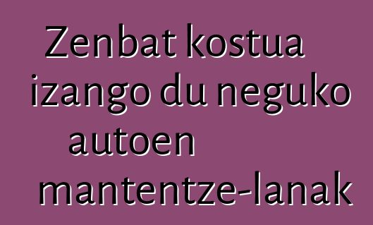 Zenbat kostua izango du neguko autoen mantentze-lanak