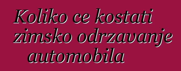 Koliko će koštati zimsko održavanje automobila
