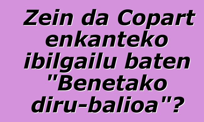 Zein da Copart enkanteko ibilgailu baten "Benetako diru-balioa"?