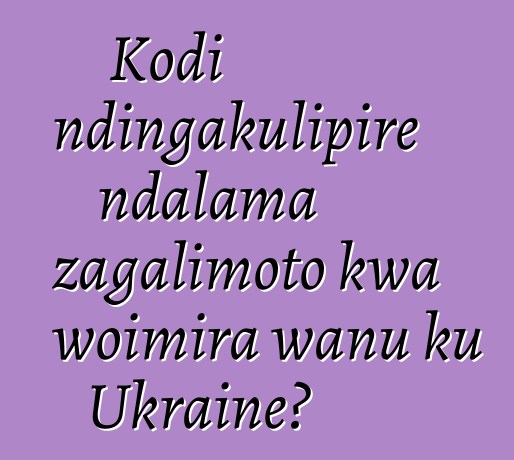 Kodi ndingakulipire ndalama zagalimoto kwa woimira wanu ku Ukraine?