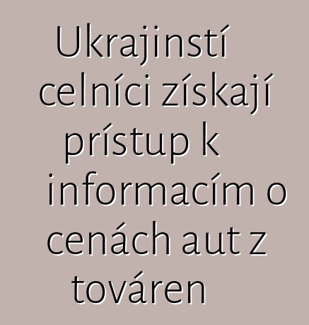 Ukrajinští celníci získají přístup k informacím o cenách aut z továren