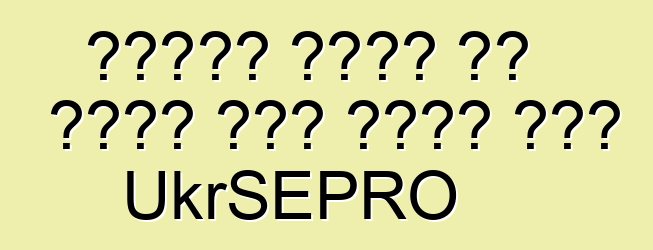የዩክሬን ጉምሩክ ያለ መዝገብ መኪና መስጠት ጀመረ UkrSEPRO