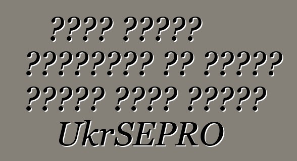 بدأت جمارك أوكرانيا في إصدار سيارة بدون تسجيل UkrSEPRO