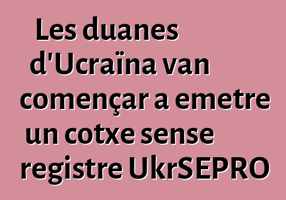 Les duanes d'Ucraïna van començar a emetre un cotxe sense registre UkrSEPRO