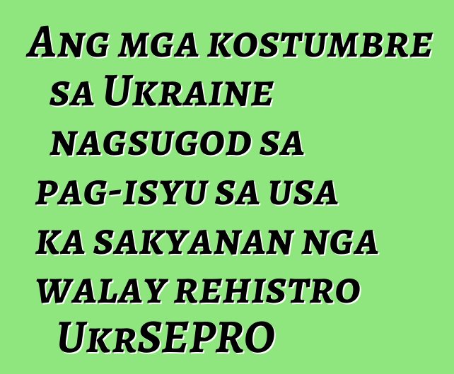 Ang mga kostumbre sa Ukraine nagsugod sa pag-isyu sa usa ka sakyanan nga walay rehistro UkrSEPRO