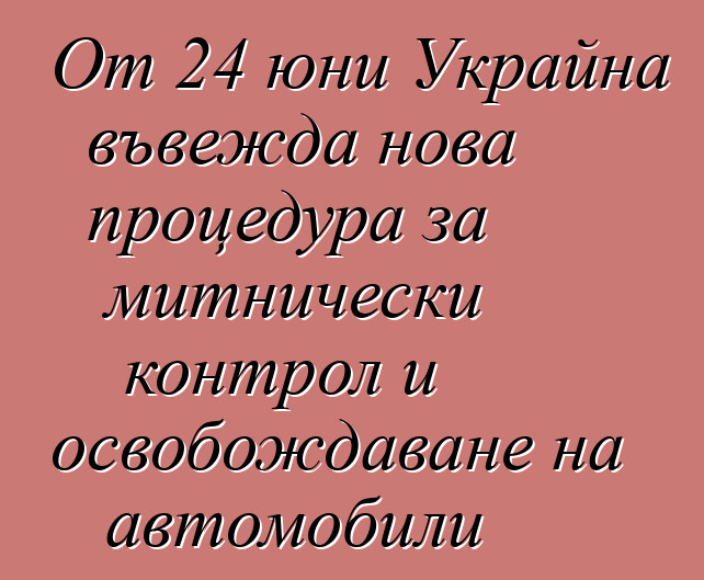 От 24 юни Украйна въвежда нова процедура за митнически контрол и освобождаване на автомобили