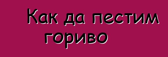 Как да пестим гориво