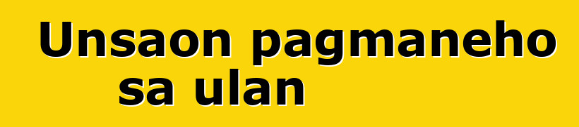Unsaon pagmaneho sa ulan