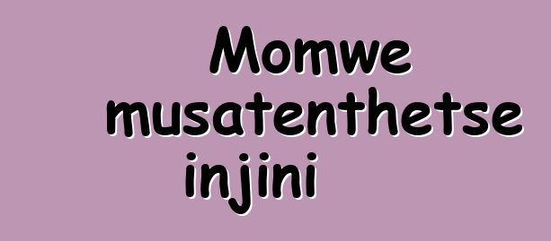Momwe musatenthetse injini