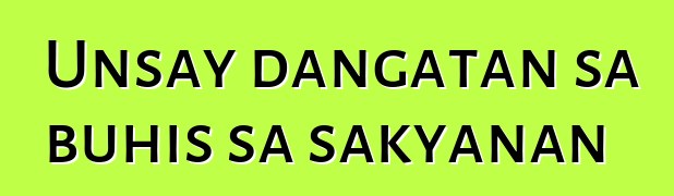 Unsay dangatan sa buhis sa sakyanan