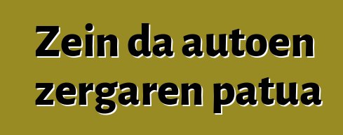 Zein da autoen zergaren patua