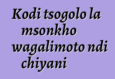 Kodi tsogolo la msonkho wagalimoto ndi chiyani