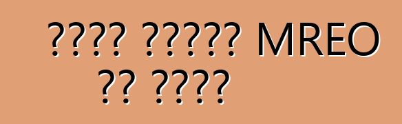 جدول أعمال MREO في كييف