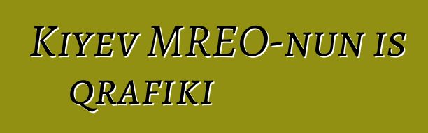 Kiyev MREO-nun iş qrafiki