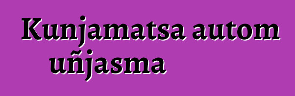 Kunjamatsa autom uñjasma