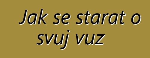 Jak se starat o svůj vůz