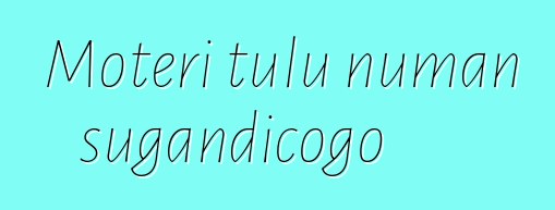 Motɛri tulu ɲuman sugandicogo