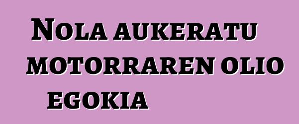 Nola aukeratu motorraren olio egokia