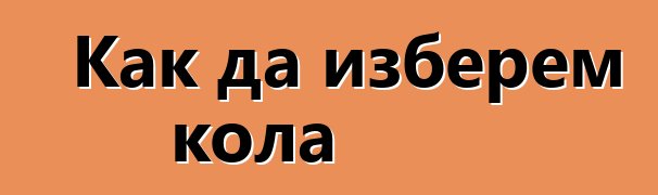 Как да изберем кола