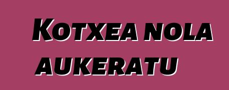 Kotxea nola aukeratu