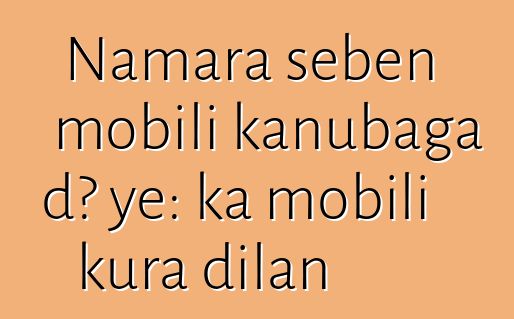 Namara sɛbɛn mobili kanubaga dɔ ye: ka mobili kura dilan