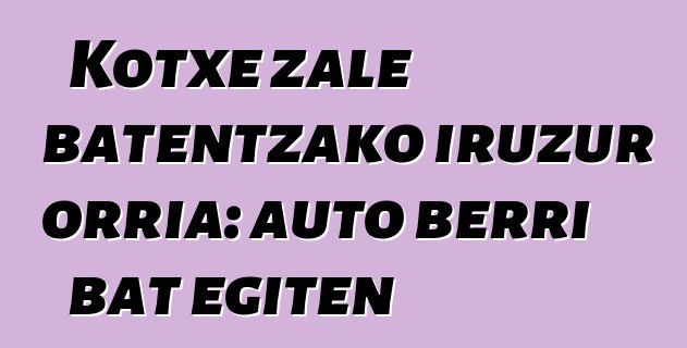 Kotxe zale batentzako iruzur orria: auto berri bat egiten