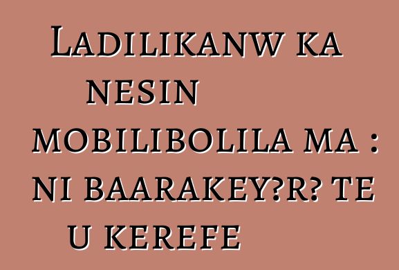 Ladilikanw ka ɲɛsin mobilibolila ma : ni baarakɛyɔrɔ tɛ u kɛrɛfɛ