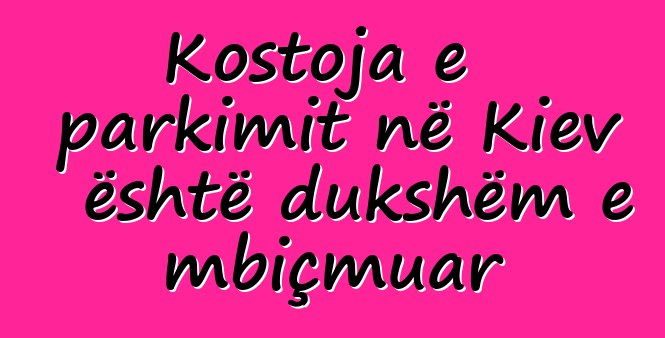 Kostoja e parkimit në Kiev është dukshëm e mbiçmuar
