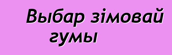 Выбар зімовай гумы
