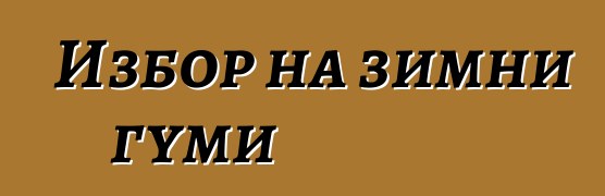 Избор на зимни гуми