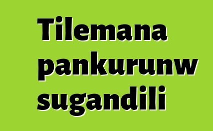 Tilemana pankurunw sugandili