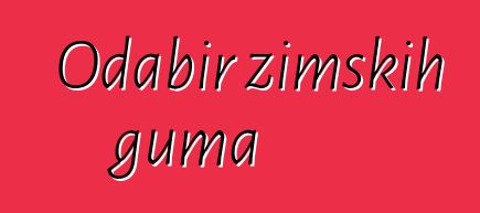 Odabir zimskih guma