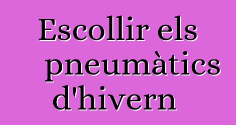 Escollir els pneumàtics d'hivern