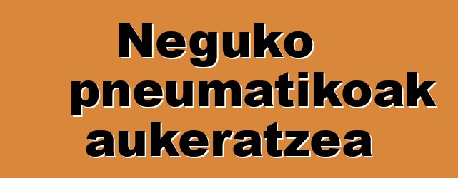 Neguko pneumatikoak aukeratzea