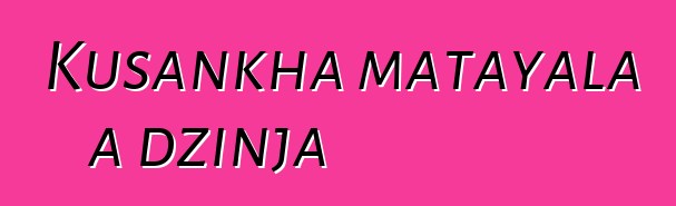 Kusankha matayala a dzinja