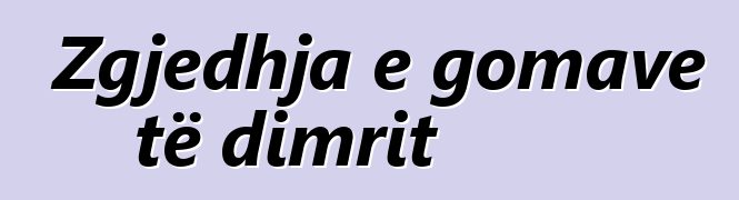 Zgjedhja e gomave të dimrit