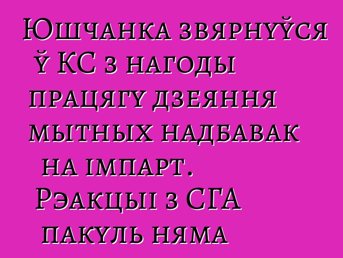 Юшчанка звярнуўся ў КС з нагоды працягу дзеяння мытных надбавак на імпарт. Рэакцыі з СГА пакуль няма